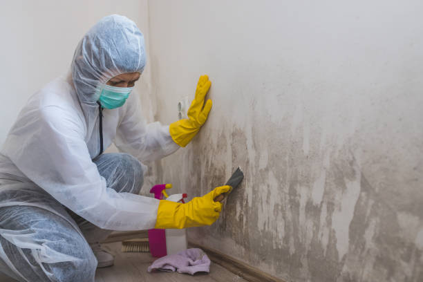 Best Mold Testing  in Monticello, MS