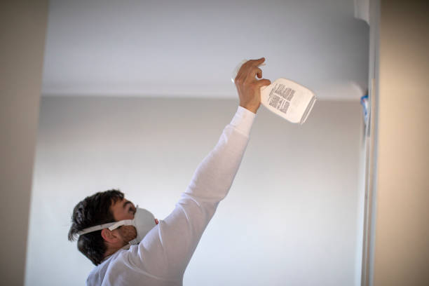 Best Affordable Mold Removal  in Monticello, MS