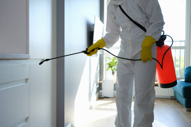 Best Affordable Mold Removal  in Monticello, MS