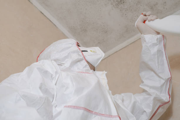 Best Mold Cleaning Services  in Monticello, MS