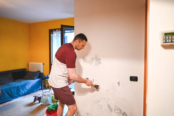 Reliable Monticello, MS Mold Removal Solutions